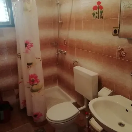 Apartment Mandre 8655a *